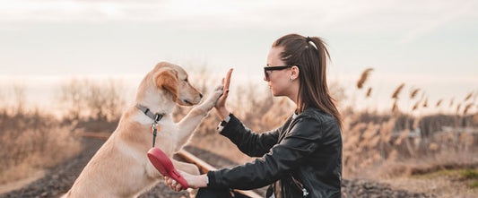 prebiotique et probiotique pour chien