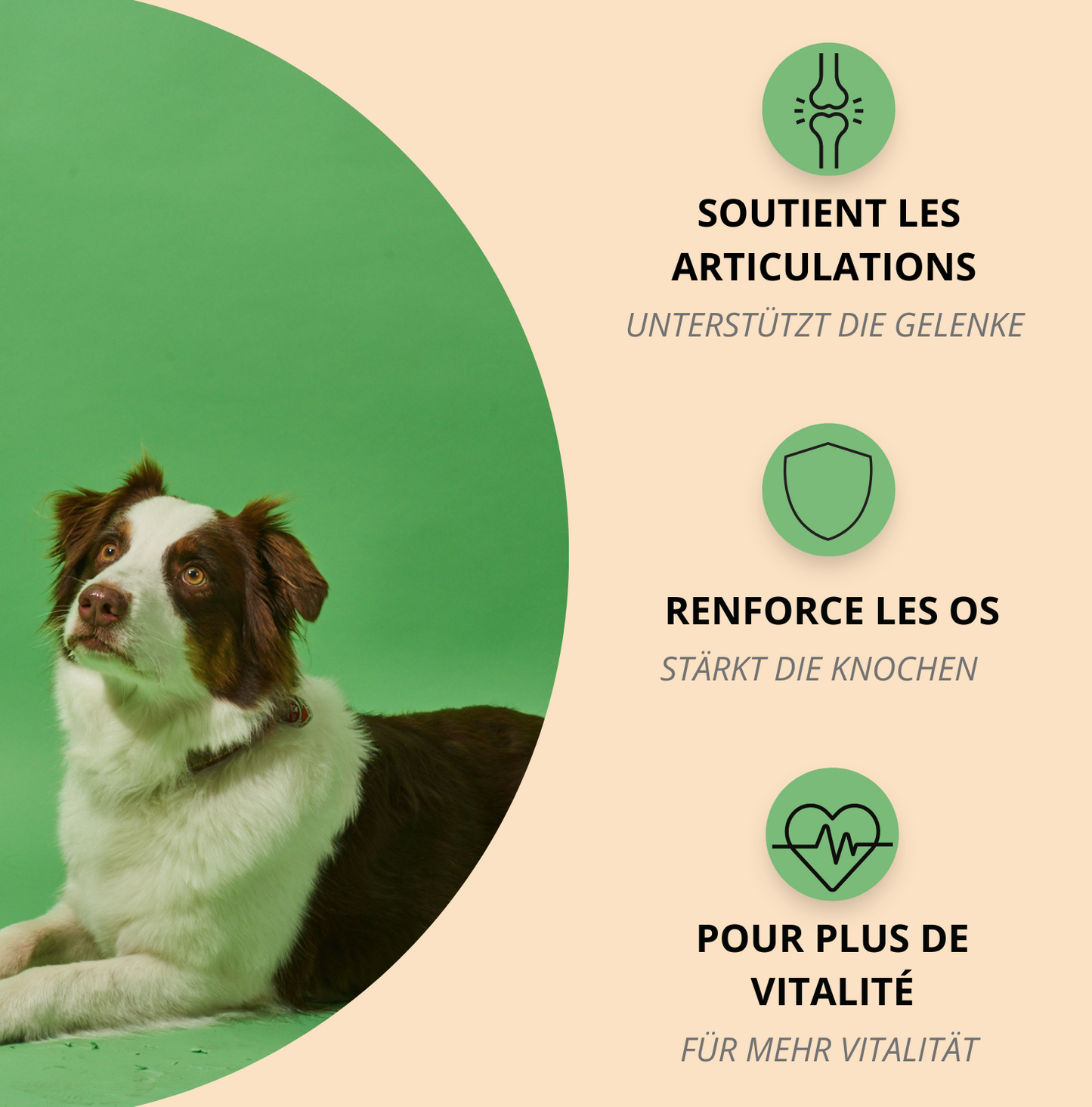 Move - Articulations