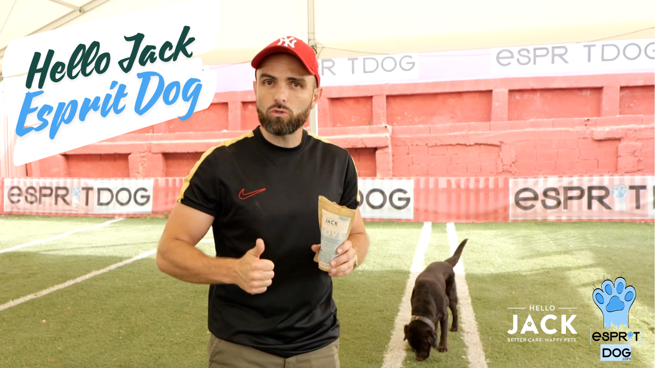 Charger la vidéo : 